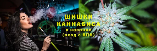 PSILOCYBIN Михайлов