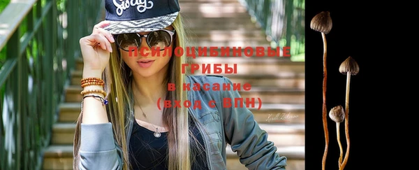 трава Михайловск