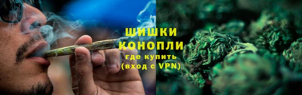 PSILOCYBIN Михайлов