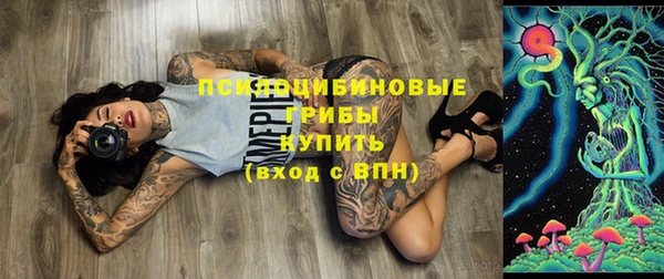 трава Михайловск