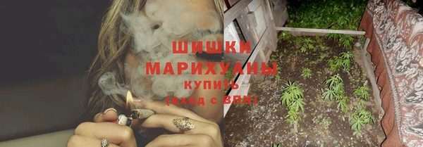 прущие грибы Вуктыл